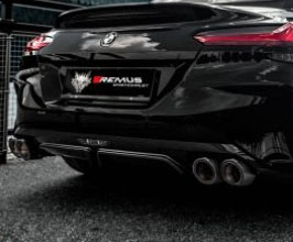 REMUS Sport Exhaust System (Stainless) for BMW Z-Series G