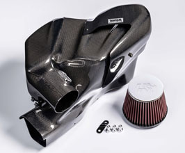 Gruppe M Ram Air Intake System (Carbon Fiber) for BMW Z-Series G
