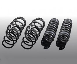 AC Schnitzer Suspension Lowering Springs for BMW Z-Series G