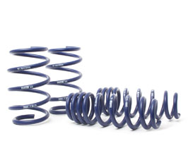 H&R Sport Springs for BMW Z-Series G