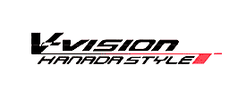 V-Vision