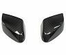 FABSPEED Mirror Covers (Carbon Fiber)