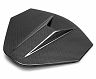 Anderson Composites Rear Decklid Housing Cover for Rear Camera (Carbon Fiber)