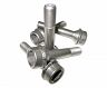 Novitec Wheel Bolts (Titanium)