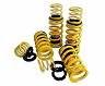 Novitec Sport Springs