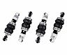 AirREX Air Bag Suspension Struts