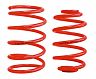 Merwede EuroSpring Lowering Springs