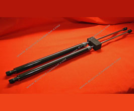 Exotic Car Gear Rear Hatch Struts (Dry Carbon Fiber) for Ferrari 360 Modena