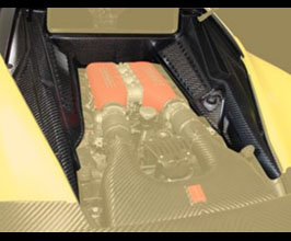 MANSORY Engine Compartment Trim Covers (Dry Carbon Fiber) for Ferrari 458