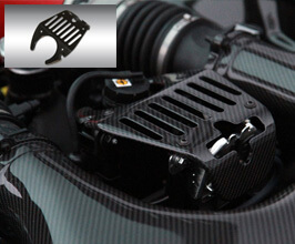 Novitec Water Reservoir Cover (Carbon Fiber) for Ferrari 458