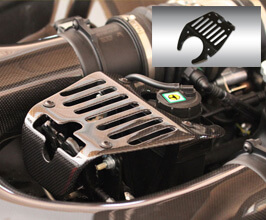 Novitec Water Reservoir Cover (Carbon Fiber) for Ferrari 458