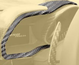 MANSORY Instrument Cluster Frame (Dry Carbon Fiber) for Ferrari 458
