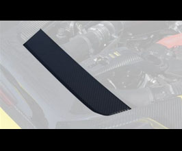 MANSORY Engine Logo-Section Cover (Dry Carbon Fiber) for Ferrari 488 GTS