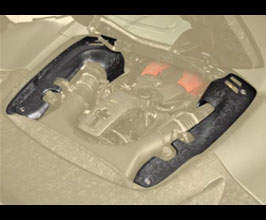 MANSORY Engine Compartment Cover (Dry Carbon Fiber) for Ferrari 488 GTS