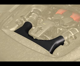 MANSORY Intake Air Box (Dry Carbon Fiber) for Ferrari 488 GTS