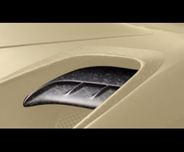 Mansory Air Outtakes Splitter Type Ii Carbon Fiber