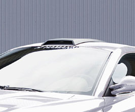 HAMANN Roof Scoop (Carbon Fiber) for Ferrari 599