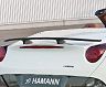 HAMANN Rear Wing