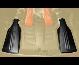 MANSORY Intake Air Box Covers (Dry Carbon Fiber) for Ferrari F12
