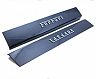 Exotic Car Gear Door Sills with Raised Logo (Dry Carbon Fiber)