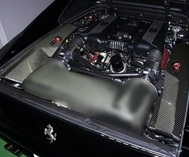 Gruppe M Engine Bay Side Panels (Carbon Fiber) for Ferrari F355