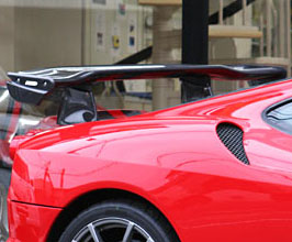 RSD Rear Wing for Ferrari F430