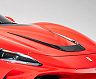 ZACOE Front Hood Duct Insert (Carbon Fiber)