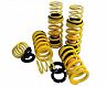 Novitec Sport Springs for Ferrari FF