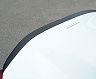 Novitec Rear Trunk Lid Spoiler Lip (Carbon Fiber)