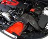 BLITZ Carbon Intake System (Carbon Fiber)