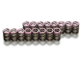 TODA RACING Uprated Valve Springs for Honda S2000 AP