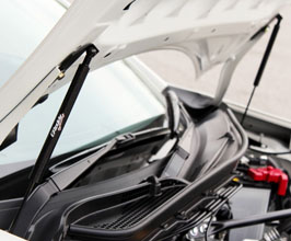 GReddy Hood Bonnet Lift Dampers (Carbon Fiber) for Honda S2000 AP