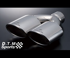 WALD DTM Sports Muffler Cutter Tips - Oval (Stainless) for Infiniti Fuga Y51