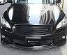 Access Evolution EXS Exclusive Sport Aero Front Lip Spoiler (Carbon Fiber)