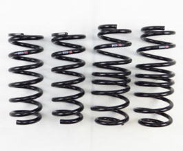 RS-R Down Sus Lowering Springs for Infiniti Skyline V37