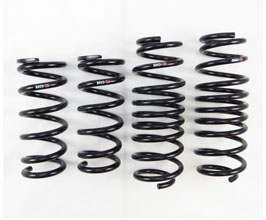 RS-R Superdown Sus Lowering Springs for Infiniti Skyline V37