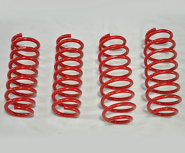 Tanabe Sustec NF210 Max Comfort Springs for Infiniti Skyline V37