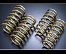 TEIN High Tech Gaurantee Spec Luxury Master Springs for Infiniti Q50 RWD