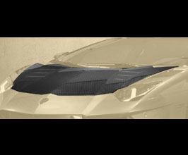 MANSORY Front Hood Bonnet (Dry Carbon Fiber) for Lamborghini Aventador