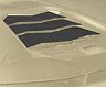 MANSORY Replacement of Glass Panels (Dry Carbon Fiber) for Lamborghini Aventador