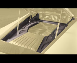 MANSORY Engine Cover (Dry Carbon Fiber) for Lamborghini Huracan