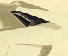 MANSORY Side Window Air Intakes (Dry Carbon Fiber) for Lamborghini Huracan 610-4