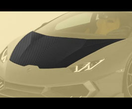 MANSORY Front Hood Bonnet (Dry Carbon Fiber) for Lamborghini Huracan