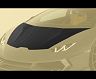 MANSORY Front Hood Bonnet (Dry Carbon Fiber) for Lamborghini Huracan 610-4