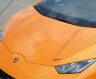 Novitec Front Trunk Lid with Air-Ducts