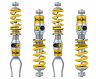 Ohlins TTX 36  Track Coil-Overs for Lamborghini Huracan LP640 / LP580 / Performante