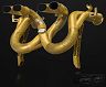 iPE Valvetronic Exhaust System (Stainless)