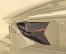 MANSORY Initiate Front Radiator Covers (Dry Carbon Fiber)