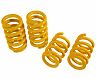 Novitec Sport Springs Set