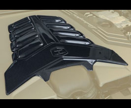 MANSORY Engine Cover (Dry Carbon Fiber) for Lamborghini Urus